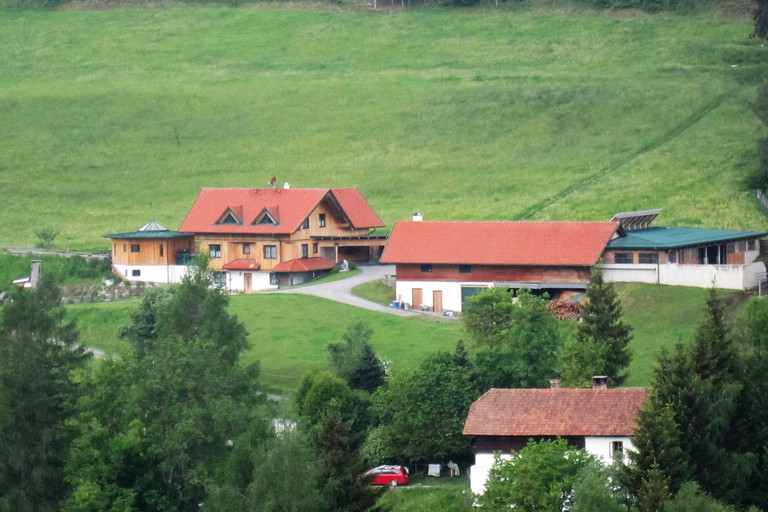 Der Hof der Familie Dorfer vulgo Weber in Hinterburg